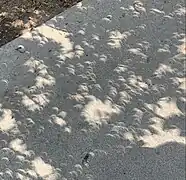 Trous d'épingle naturels vus de College Station, Texas.