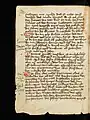 Solothurn, Zentralbibliothek, Cod. S 386, fol. 132v,  Manuscrit composite médical
