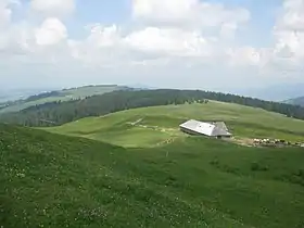 Vue depuis le sommet du Niremont vers le nord et le sommet des Alpettes.