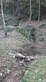 La source avec son petit bassin.