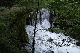 Source Bergeret.