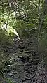 Début de la rivière