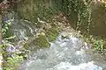La source de la rivière La Serrière.