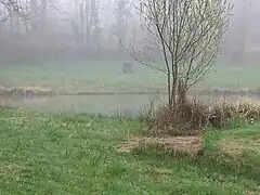 Source de la Tadoire