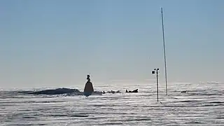 Le buste au Pôle Sud d'inaccessibilité.