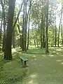 Vue du parc