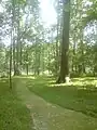 Vue du parc