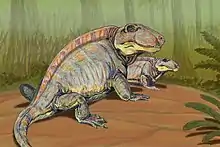 Couple de Sphenacodon.