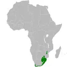 carte de répartition de Sphenoeacus