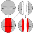 Figure 2a