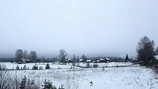 Spitsino en hiver.