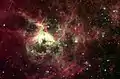 La nébuleuse de la Tarentule en infrarouge par le télescope spatial Spitzer. Certaines étoiles supergéantes bleues à l'intérieur de cette nébuleuse sont 100 fois plus massives que le Soleil et au moins 100 000 fois plus lumineuses.