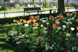 Fleurs.