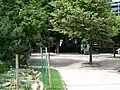L'espace de jeux.