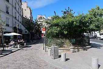 Square.