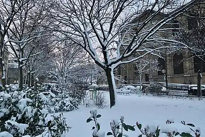 Sous la neige.