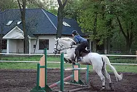 Stęszewko