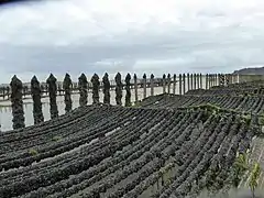 Saint-Cast-le-Guildo de la côte d'Émeraude en Bretagne.