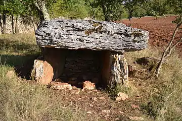 Dolmen de la Combe de saule no 1