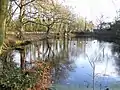 The Fish Pond