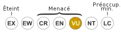 Vulnérable