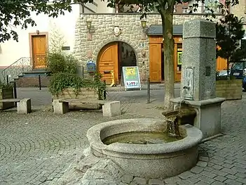 Steinbach12
