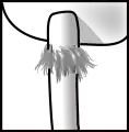 Déliquescent