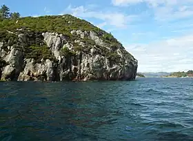 Bukken