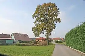 Strašov