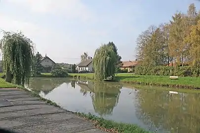 Étang de Strašov.