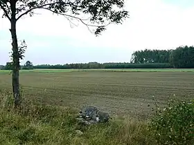 Straszewy