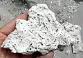 Stromatolithes de la laguna Verde
