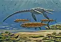 Grands prédateurs marins du Crétacé supérieur ; Pliosauroidea et Xiphactinus. Aussi, d'énormes palourdes incrustées d'huîtres.
