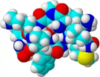 Image illustrative de l’article Substance P