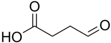 Image illustrative de l’article Semialdéhyde succinique