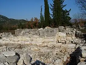 Orah (Ravno)