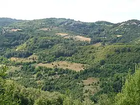 Svirce (Medveđa)