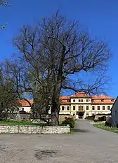 Svojšín : centre.