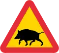 Sangliers