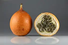 Fruit de Passiflora ligularis.