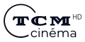 Ancien logo de la version HD utilisé du 6 mai 2013 au 2 septembre 2019.