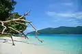 Plage de sable blanc de l'île de Tarutao