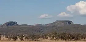 Table Top/Ettamogah