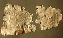Tablette de l'Hospitalet-du-Larzac conservée au musée de Millau (Aveyron).