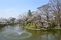 Douves du château de Tanagura (Tanagura, Fukushima)