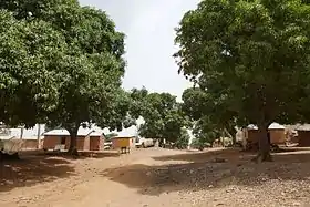 Tanongou