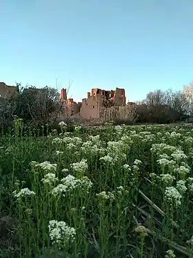 Tansghart