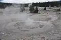 Tardy Geyser en éruption le 4 juin 2013.