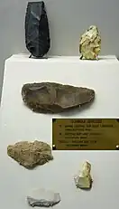 Silex taillés selon la méthode Levallois.