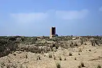 Vue du site archéologique de Tell el-Ruba, l'ancien Djedet, le centre du culte de Hatmehit.